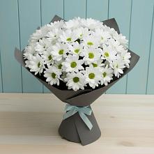 Букет белые хризантемы #REPLACE_PRED# Абдулино Букет цветов из:  Хризантемы #REPLACE_PRED# Абдулино