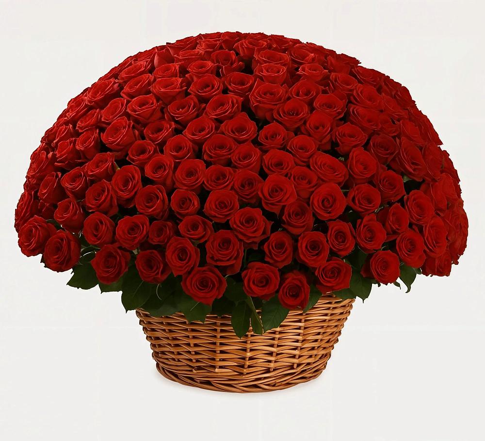 251 Премиум красная роза в Абдулино Премиум букет из: Розы в Абдулино