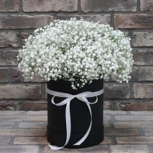 Цветочная композиция из Гипсофила в шляпной коробке в Абдулино